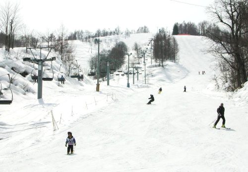 大会コースの規制について ご案内
